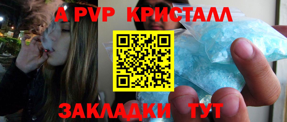 Alfa_PVP СК Лесной