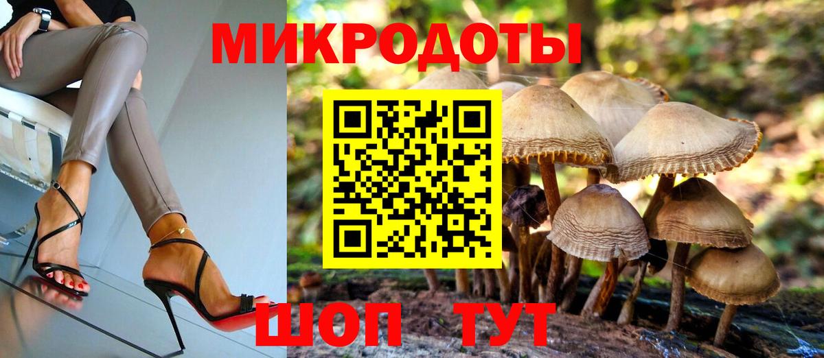 Галлюциногенные грибы прущие грибы Лесной