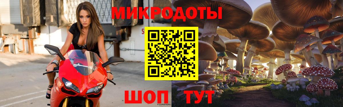 Лесной  Псилоцибиновые грибы Psilocybe  Псилоцибиновые грибы Psilocybine cubensis  Вход с VPN 